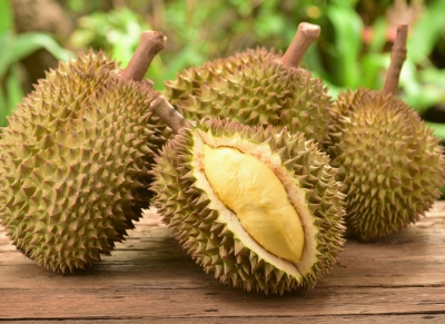 Durian Group Buy 