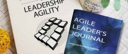 eight paradoxes of leadership agility and agile leaders journal books